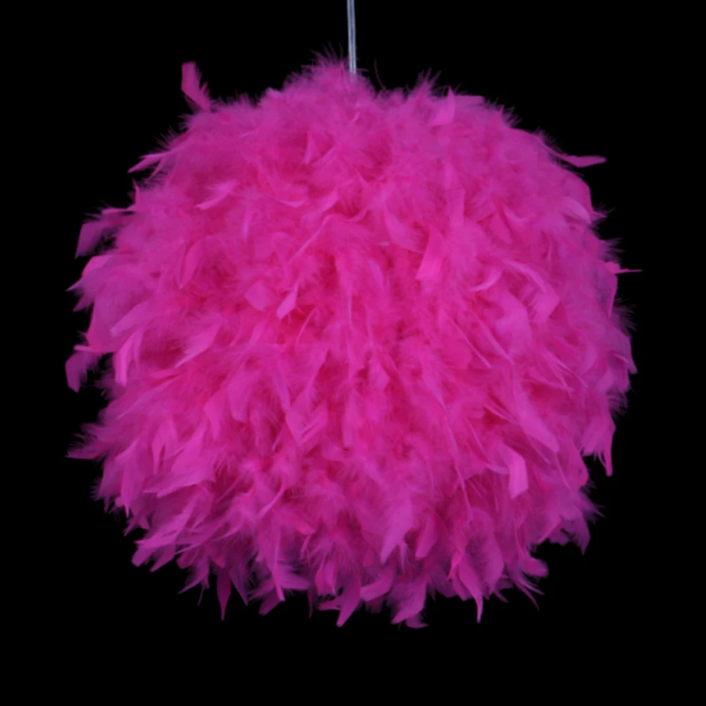 11785122550_1950745065