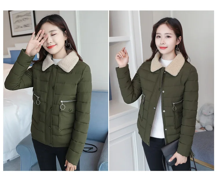 Cotton_21.jpg