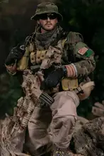 

DAMTOYS 78081 1/6 Collectible Action Figure Toy Doll Model Body In stock