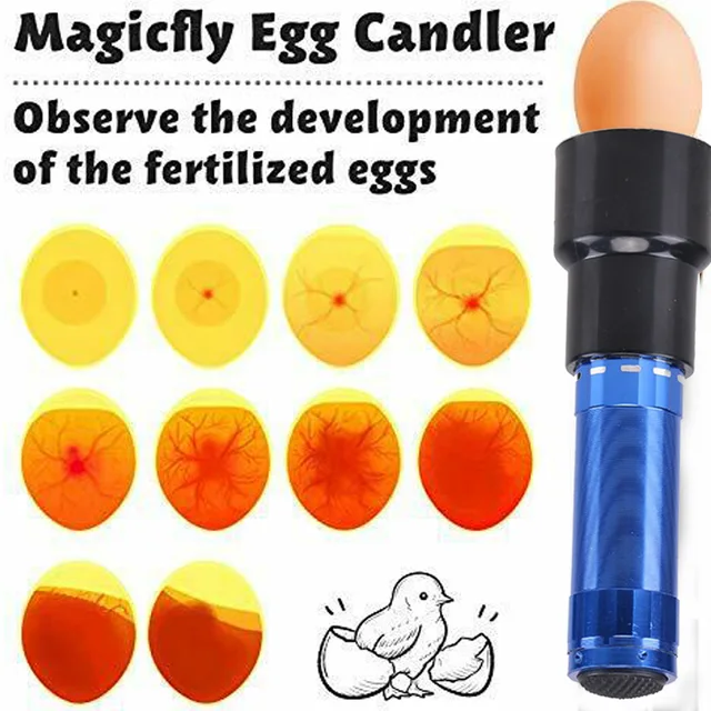 incubright egg candler Professional Egg Candling Lamp Flash Light Egg