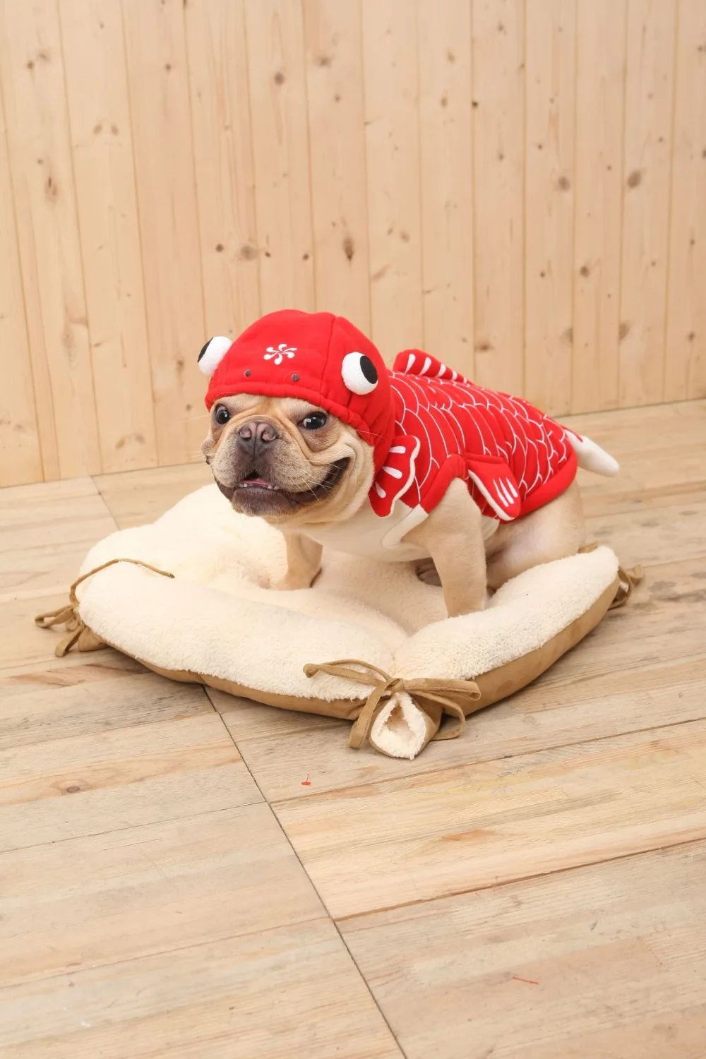 12 - 12112669360_2079916810