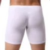 Men's Boxer Underwear Sexy Translucent Ice Silk Long Mens Boxershorts Male U Convex Underpants Summer Solid White Men Boxers 4