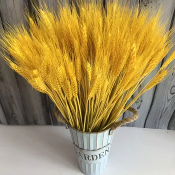

Real Wheat Ear Flower Natural Dried Flowers For Wedding Party Decoration DIY Craft Scrapbook Home Decor Wheat Bouquet