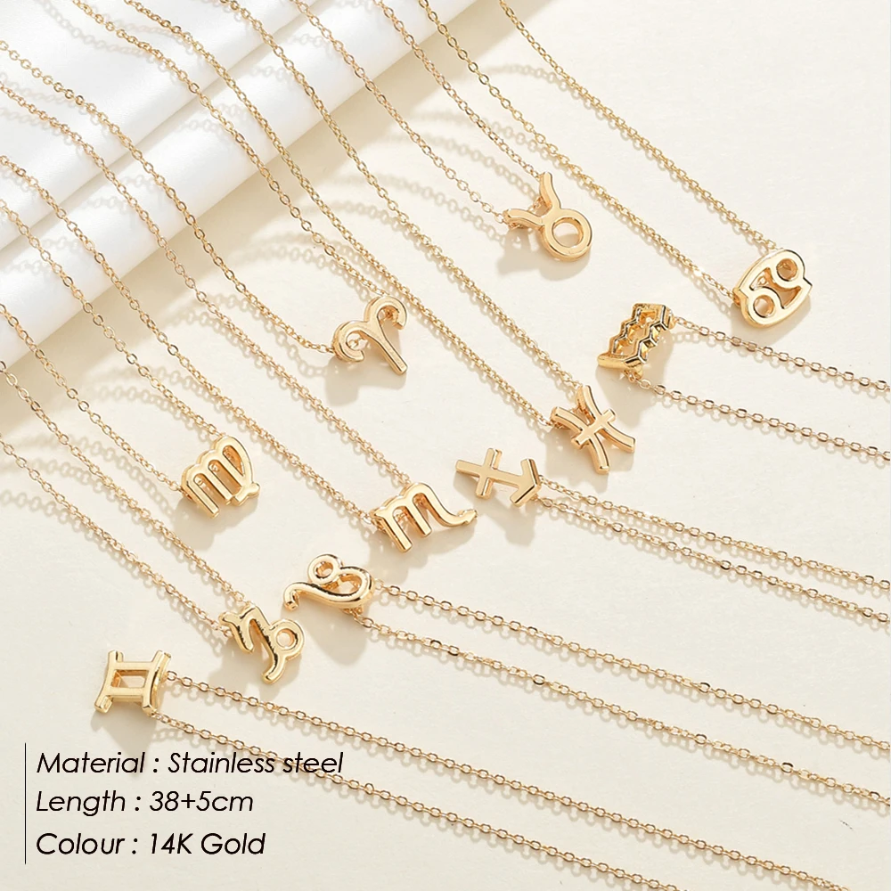 eManco gold stainless steel zodiac necklace for women 12 zodiac signs chokers necklace women jewelry - Image 4