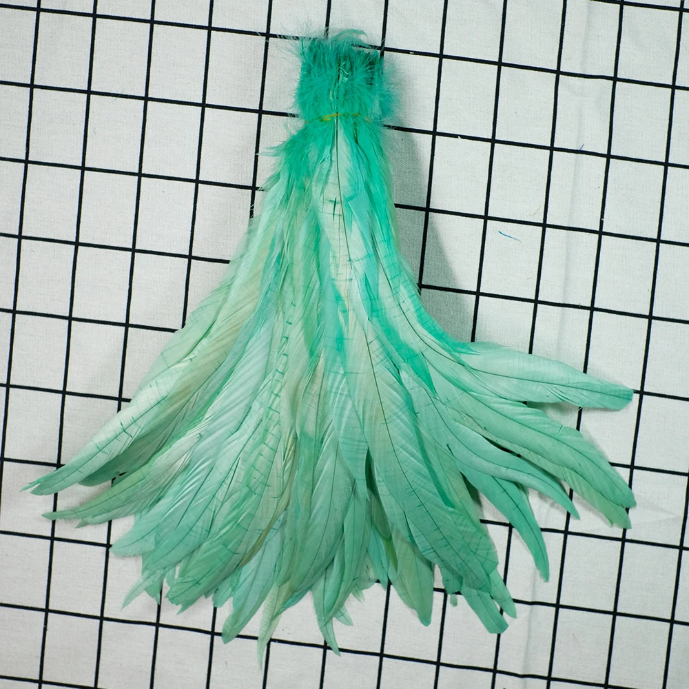 _DSF7294