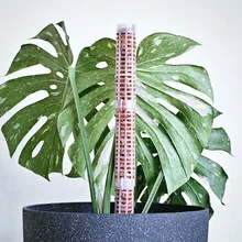

Climbing Plant Extension Pole Stick Climbing Creepers Indoor Plant Support Moss Gardening Pillar Gardening Tools Accessories