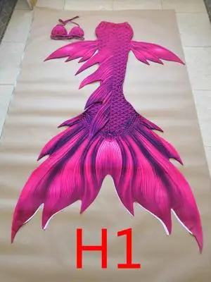 Image 13