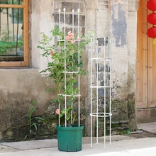 Botany цветок кронштейн балкон группа Закрыть цветок стойки бытовой подъем Арбор китайская Роза клематис лотоса для подъема опорная рама