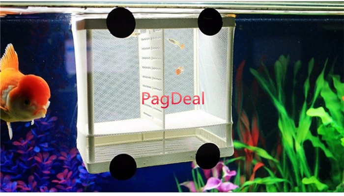 Fish Breeding Box1
