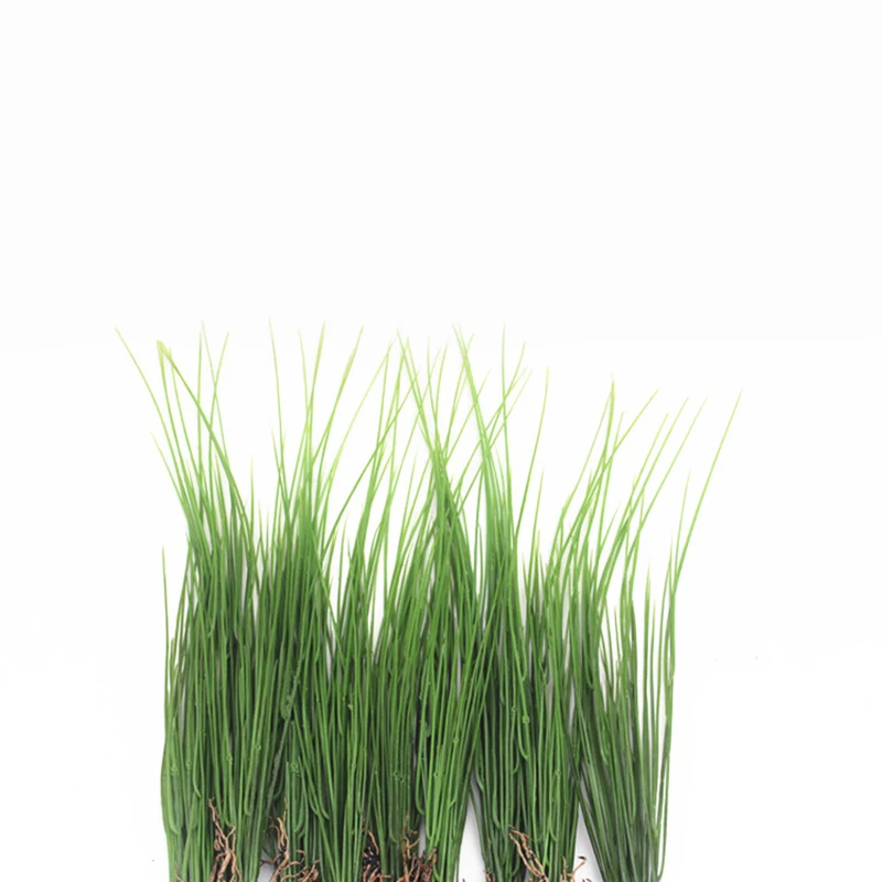 TB2KJrlcVXXXXX3XXXXXXXXXXXX_!!699171068