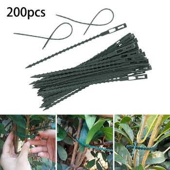 

Office Plants cable Multi Purpose Support Fixing tool 200pcs Adjustable