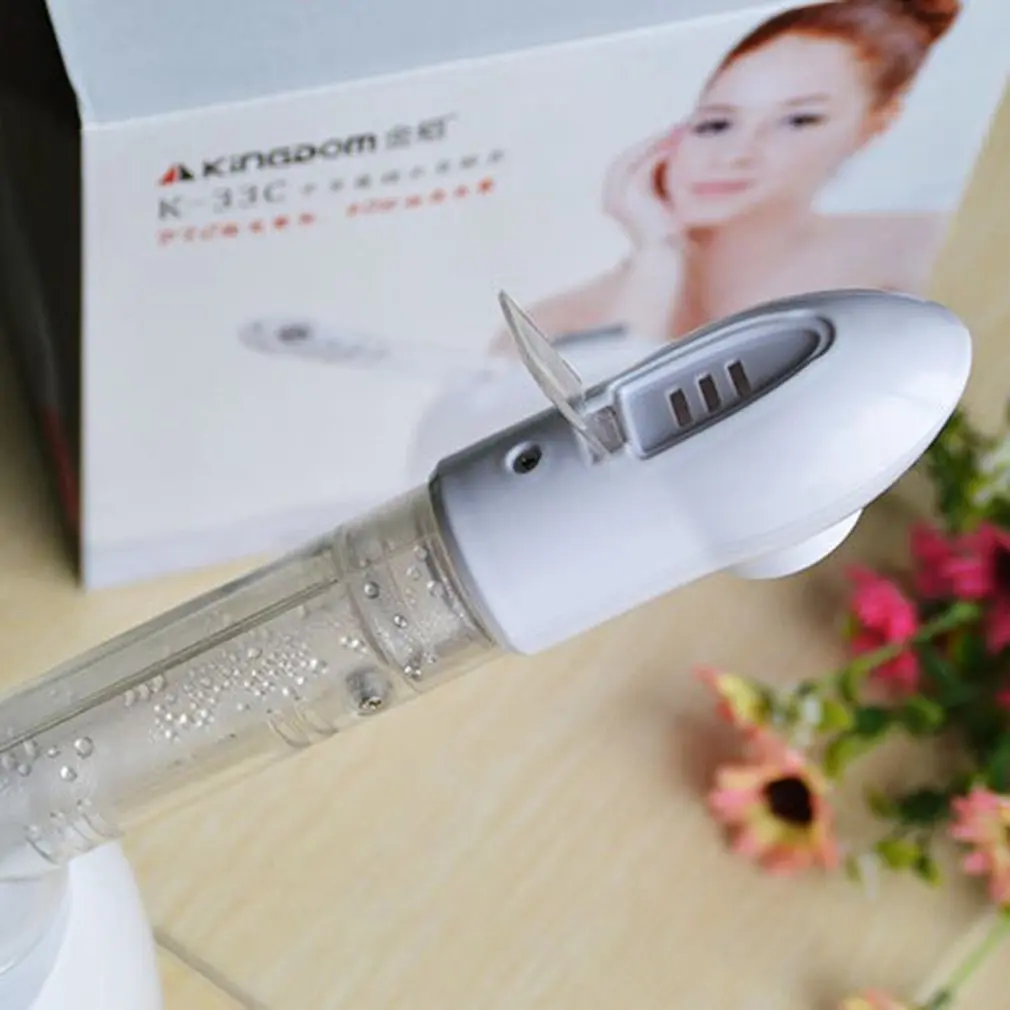  Facial Steamer Face Sprayer Vaporizer Beauty Salon Health Care Instrument Machine