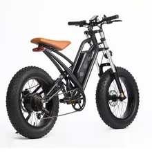 750W Powerful Tire Electric Bike 48V 13Ah Adult Electric Bicycle 20