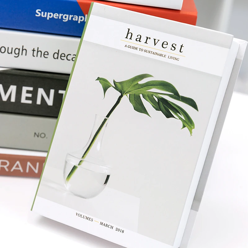 Fake Book Decoration English Nordic Creative Furnishing Minimalist Modern Soft Decoration Library Prop Books
