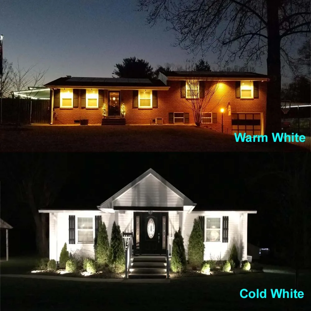 warm white cold white