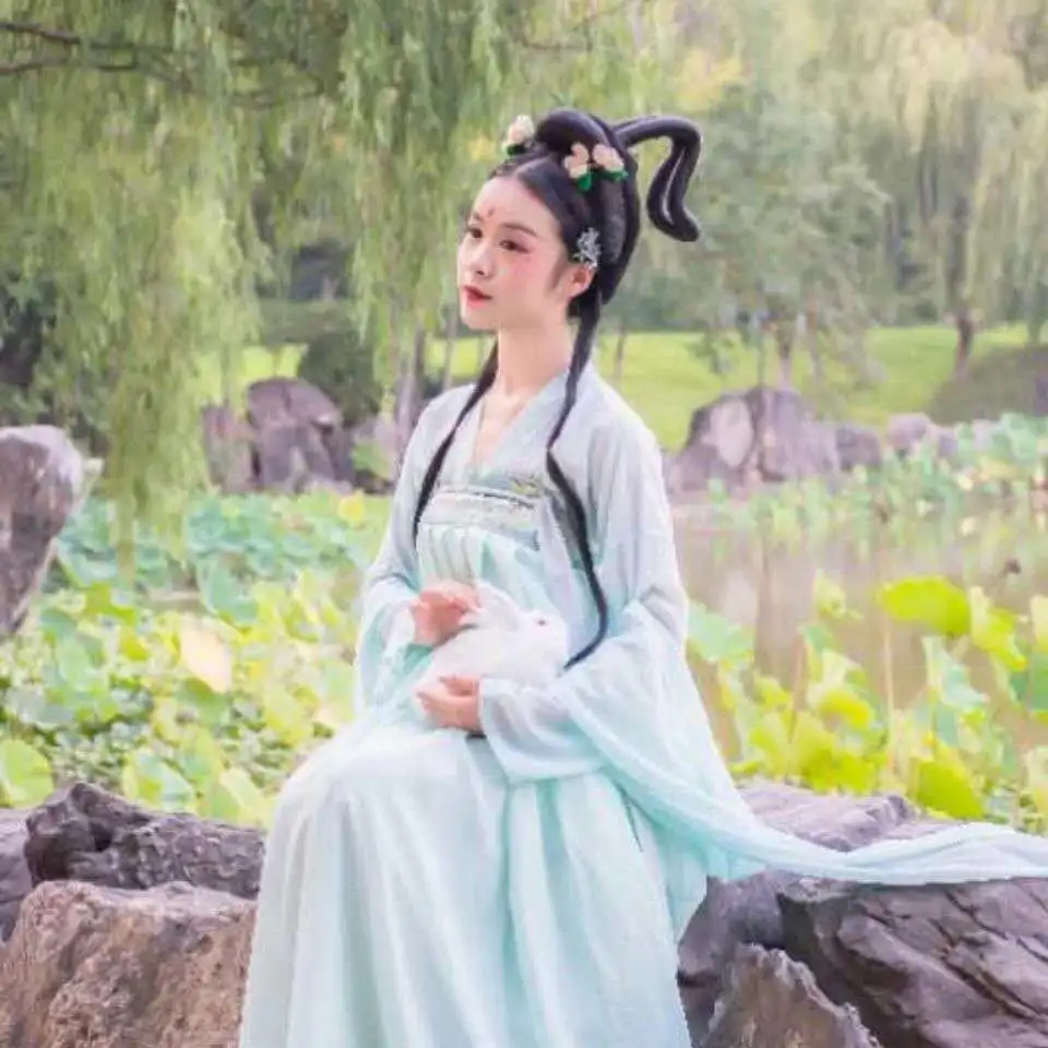 

New Summer Women Embroidery Chiffon Fairy Dress Traditional Ancient Costumes Princess Dance Hanfu Dress Chinese Ladies Outfit