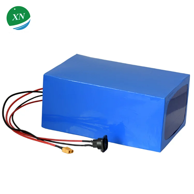 Rechargeable Citycoco Batterie Electric Bicycle Bike Li ion Lifepo4 Battery 48v 20Ah Ebike Lithium Battery Pack