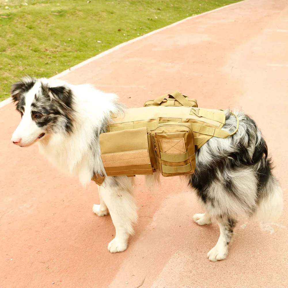 81jPAcUd7YL._SL1500_