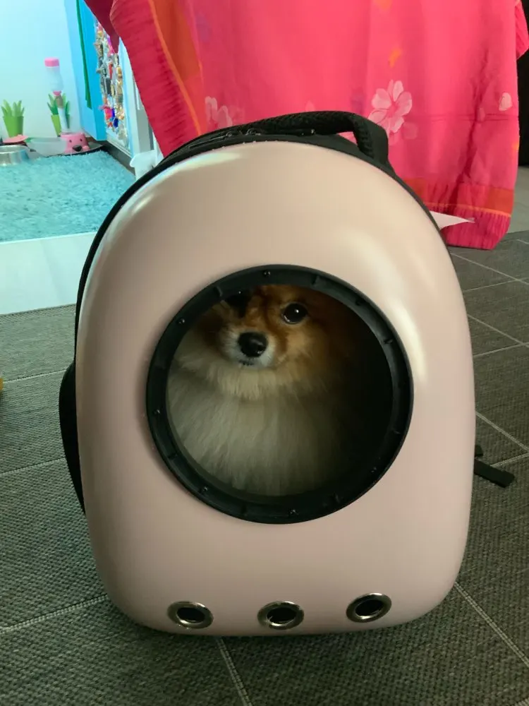 U37063a88fc424c6796652116d1c94988G