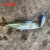 Jerry Silder Ultralight Spinning Fishing Lures Micro Minnow Lure Hard Bait Slow Sinking Jerkbait Crankbait Trout Bass Lures 45mm ► Photo 2/6