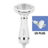 Silver US Plug