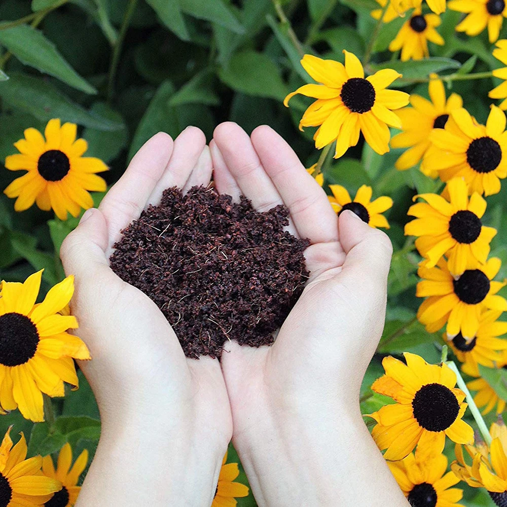 8a9ae1c17186853301718d1c8cc10ff9