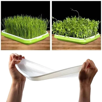 

Double-layer Nursery Tray Soil-Free Bean Wheatgrass Grower Seedling Tray Sprout Plate Hydroponic Planting Sprout Pot Garden tool