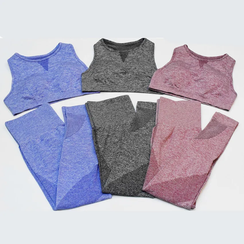 13132473725_46371432