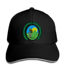Для мужчин Бейсбол Кепки Open логотип Del Recinto De Golfito Snapback Кепки Для женщин шляпа с остроконечным
