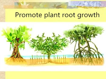 

500g Plant Rooting Powder indole butyric Acid Potassium Plant Growth Regulator 98% Potassium butylate