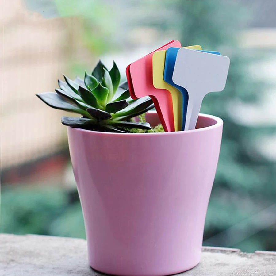 Flower Pots & Planters best of sale 30/50/100pcs Gardening T-shaped Plastic Label Multicolor Plant Tag Waterproof Writing Card Bonsai  Succulent Seedling Marking groot plant pot