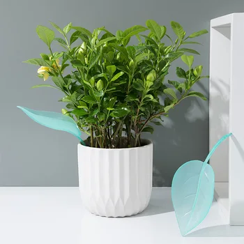 

Creative Irrigation Watering Device Potted Funnel Leaf Plant Waterer Flowering Tool Gardening Simple Watering Funnel Auto Sprink