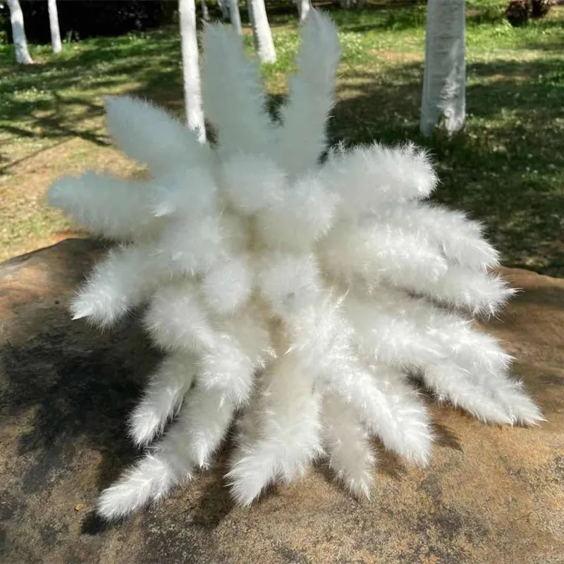 15Pcs Dried Reed Flower Arrangement Natural Pampas Grass For  Modern Home Decoration Party Backdrops Wedding Supplies