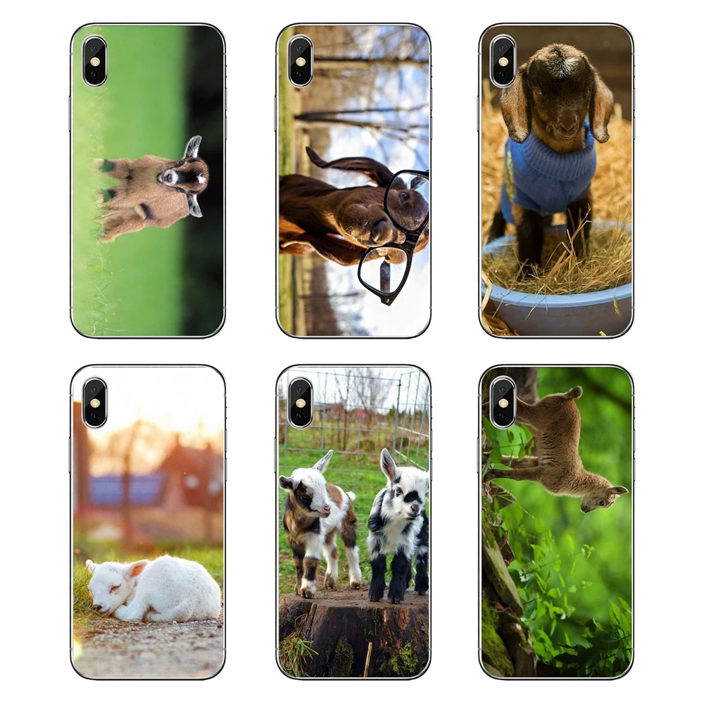 Прозрачные ТПУ чехлы для iPod Touch iPhone 4 4S 5 5S 5C SE 6 6S 7 8 X XR XS Plus MAX самые симпатичные