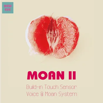 

Moan ii Advanced touch sense voice system