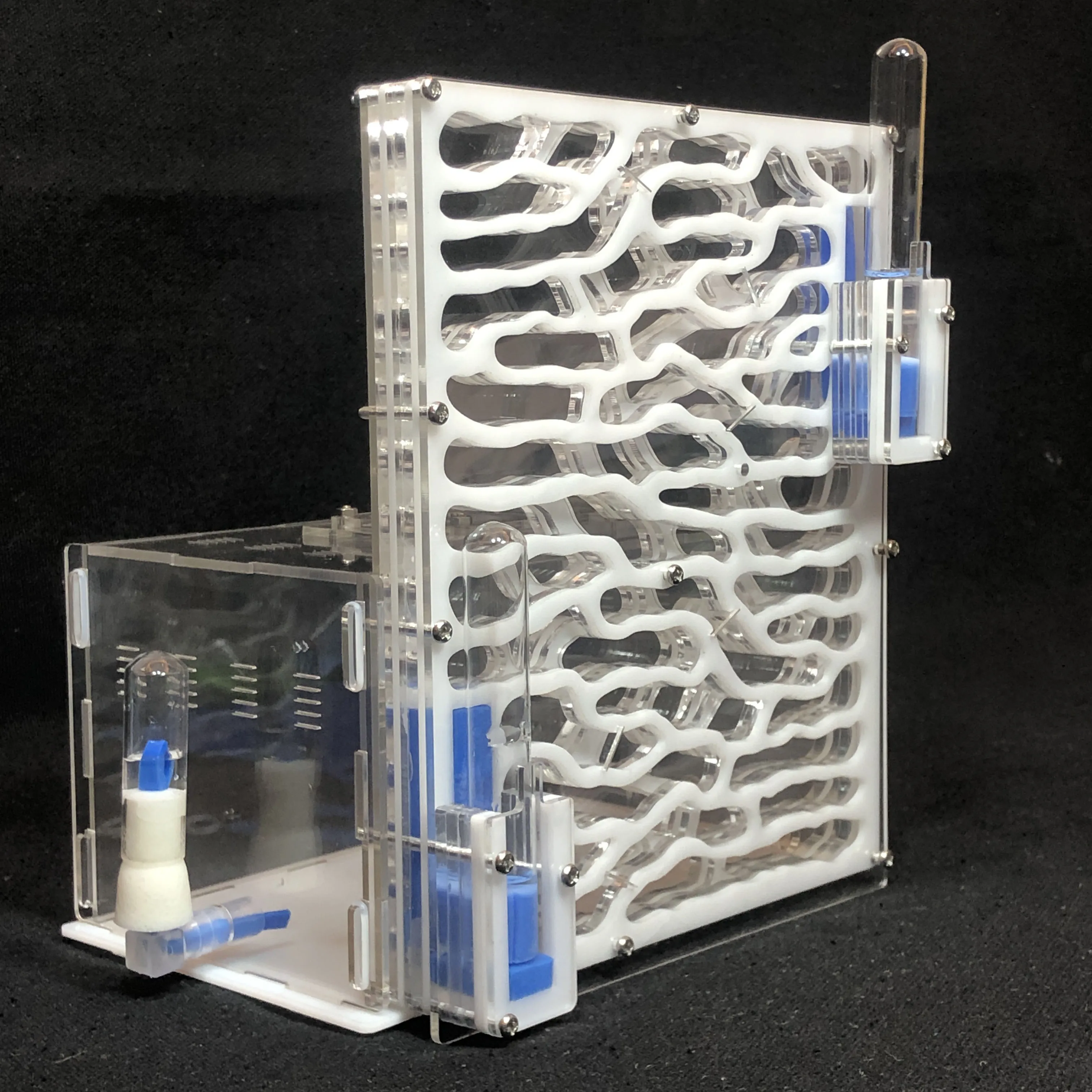 Granja de hormigas acrílicas con área de alimentación, casa de hormigas de  gran tamaño de 19,5x15x22cm con 6 capas y área de alimentación de bricolaje  - AliExpress, image size:3024x3024