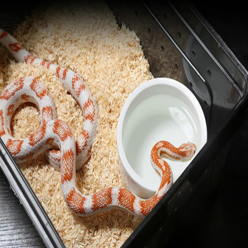 H76f5df2fec8e4658884b155bb4a90f85q