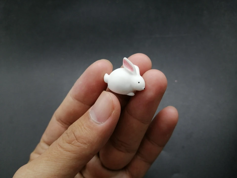 Tiny-A249 (3)
