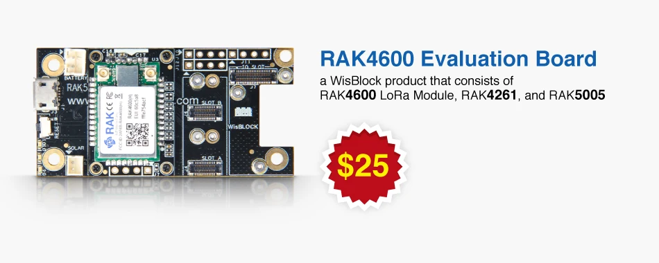 RAK4600-Evaluation-Board-&-LoRa-Module