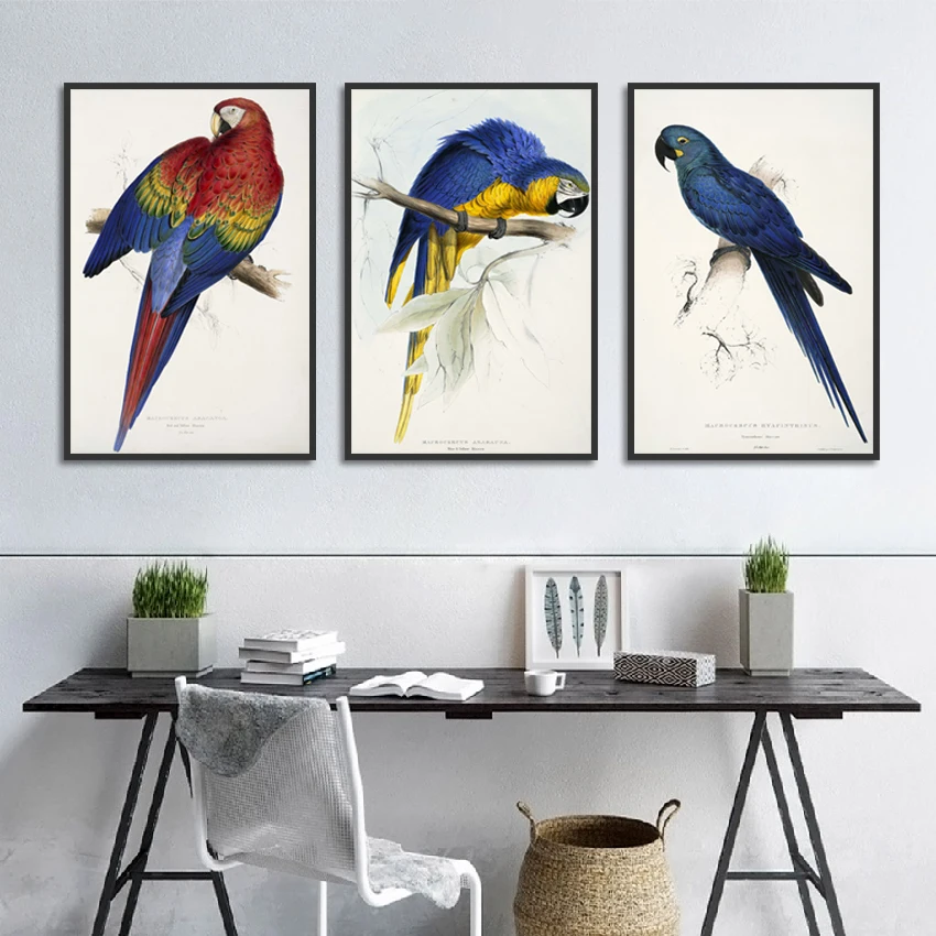 

Nordic Decoration Home Posters and Prints Animal Modular Wall Art Pictures Color Parrot Canvas Painting for Living Room Decor