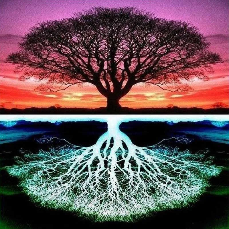 Самая красивая род. Мировое Древо ашваттха. Древо Иггдрасиль. Священное дерево ашваттха. "Tree of Life" ("дерево жизни") by degree.