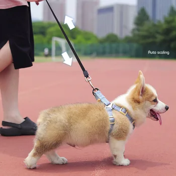 

Automatic retractable dog collar, 8m, premium, durable, dog, large, extensor, for walking, windrope, belt, pet rope