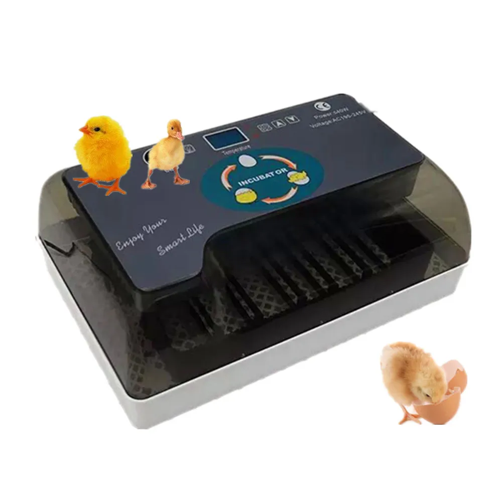 OEM US market home use puppy bird hatchery egg incubator sale | Канцтовары для офиса и дома