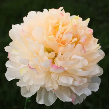 

10Pcs/lot Wide 18cm High Quality Retro Silk Peony Flower Faux Flowers Wedding Stage Backdrop Decoration Birthday Party Decor