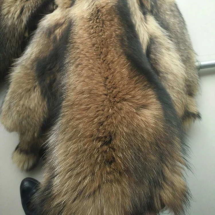 Raccoon skin (2)