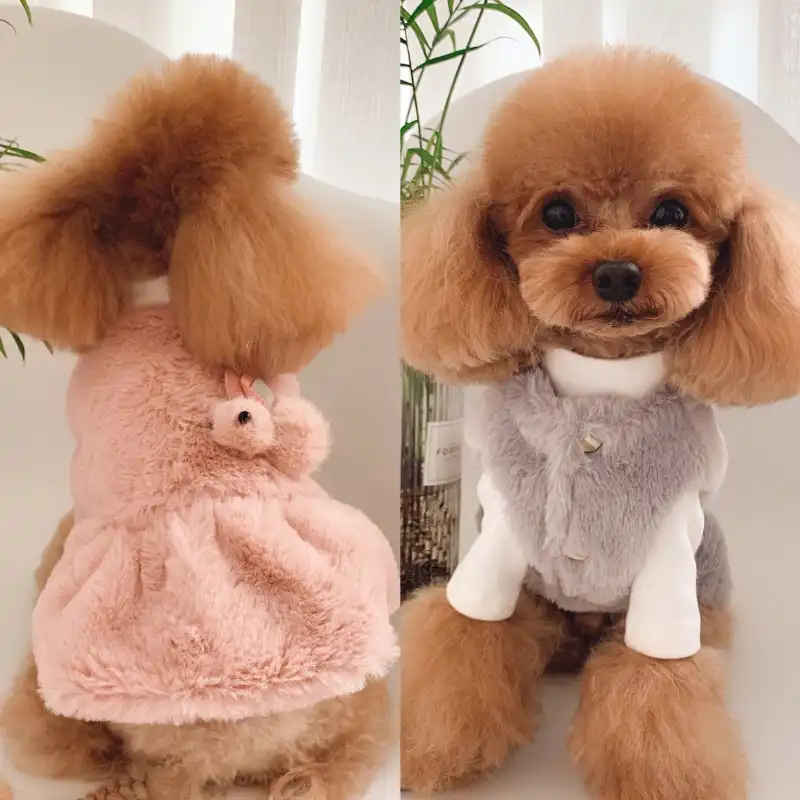 cheap dog clothes for yorkies