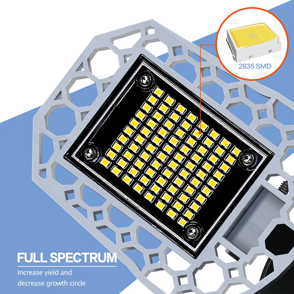 变形金刚-植物灯-A-款-100-200-300-自然白--蓝白---改01--_02