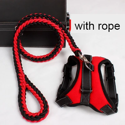 8097792522_1648768732