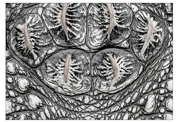 12474276781_377619387