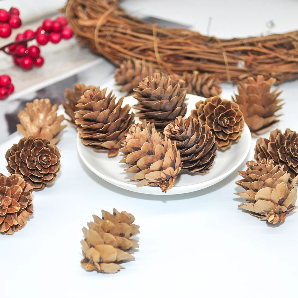Natural pine cones (5)